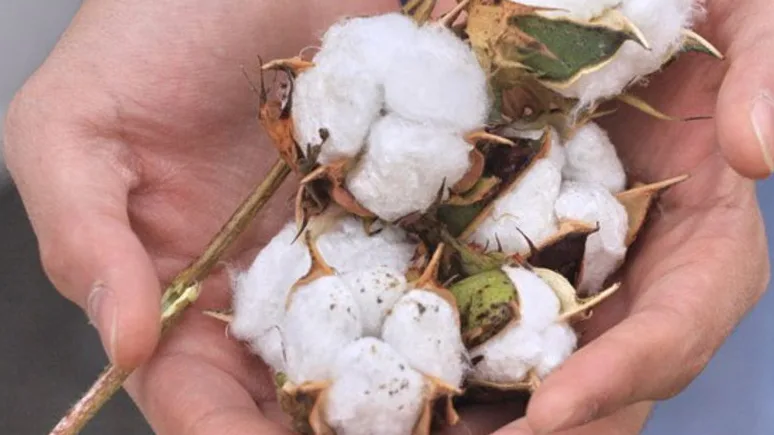 Закупка в Китае.