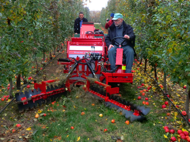 Комбайн для сбора падалицы (упавших яблок, груш, орехов) из Китая поставка с ПЭК Гуанчжоу в Россию