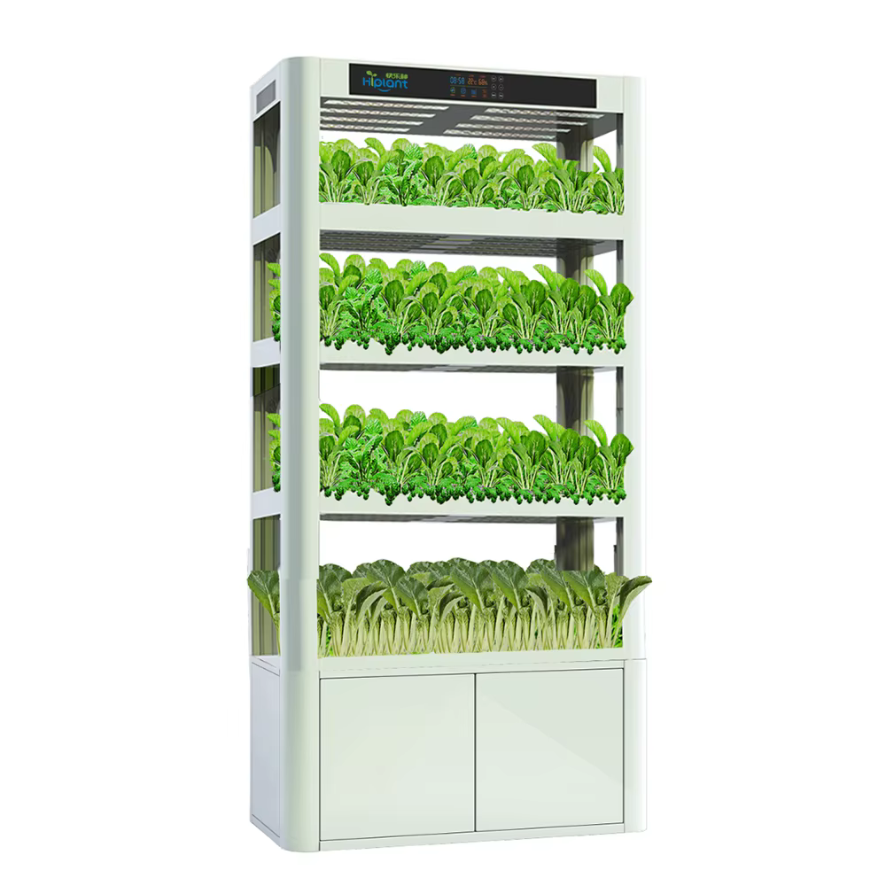 Гидропонная установка для выращивания растений из Китая поставка с ПЭК Гуанчжоу в Россию