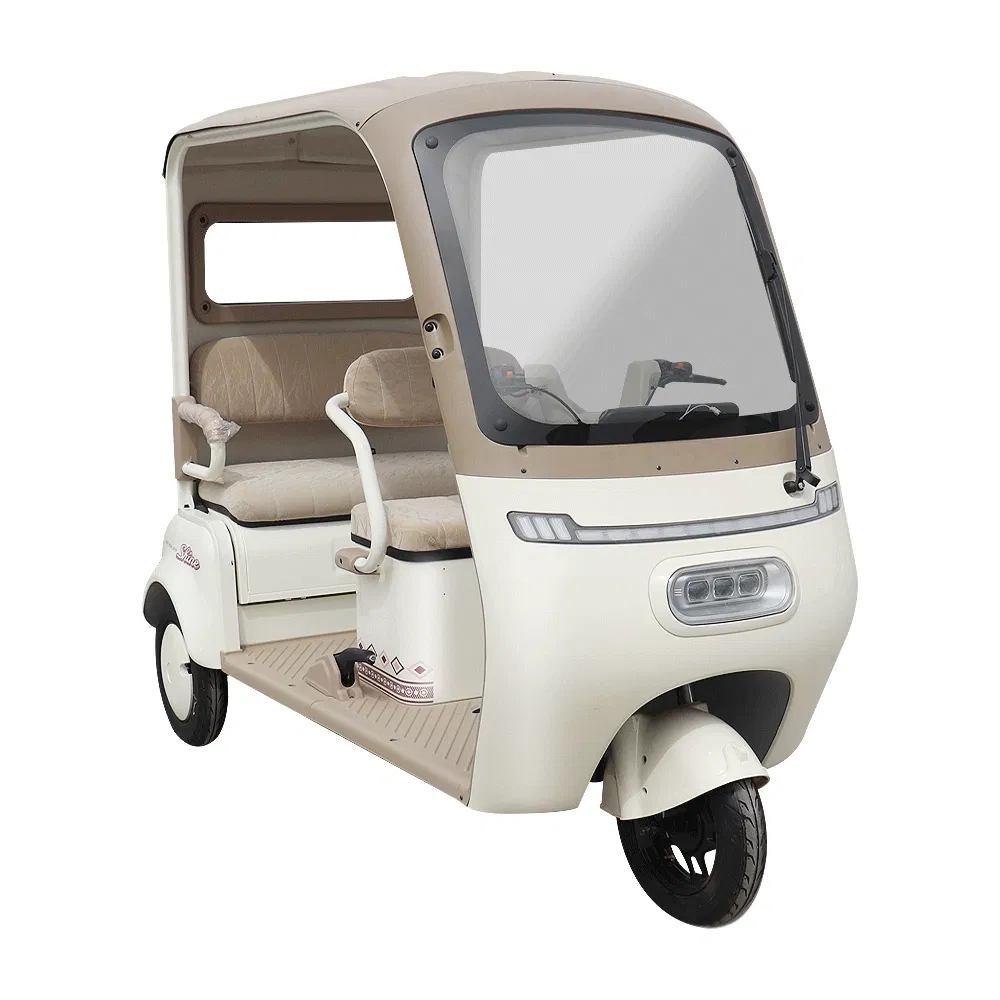 Пассажирский трехместный трицикл с доставкой из Китая в Россию